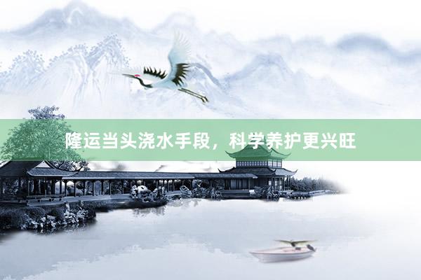 隆运当头浇水手段，科学养护更兴旺